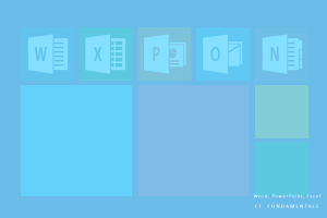 Productivity software: Word, PowerPoint, Excel